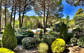 Provence mon amour